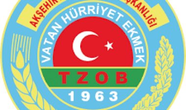 Kardeş Okul Projesiyle 100 Fidan Geleceğe Nefes Oldu