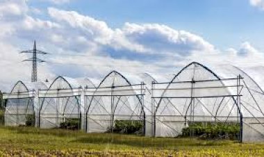 KOP Seranın Merkezi Projesi’nde Sona Doğru: Sera Kurulumları Hızla İlerliyor