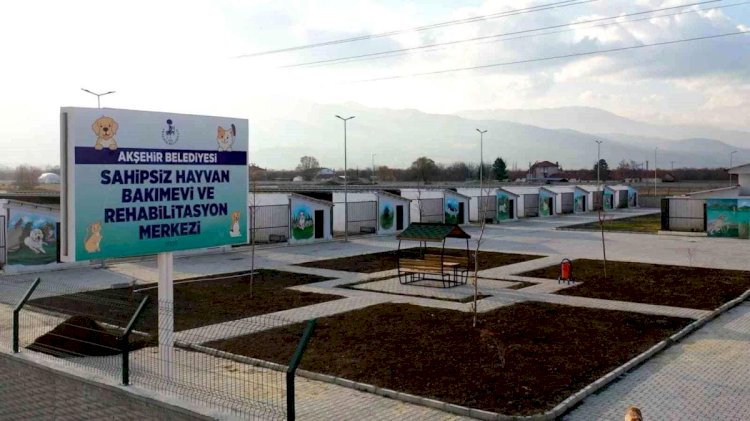 Sahipsiz Hayvan Bakımevi ve Rehabilitasyon Merkezi