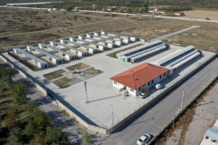 Sahipsiz Hayvan Bakımevi ve Rehabilitasyon Merkezi