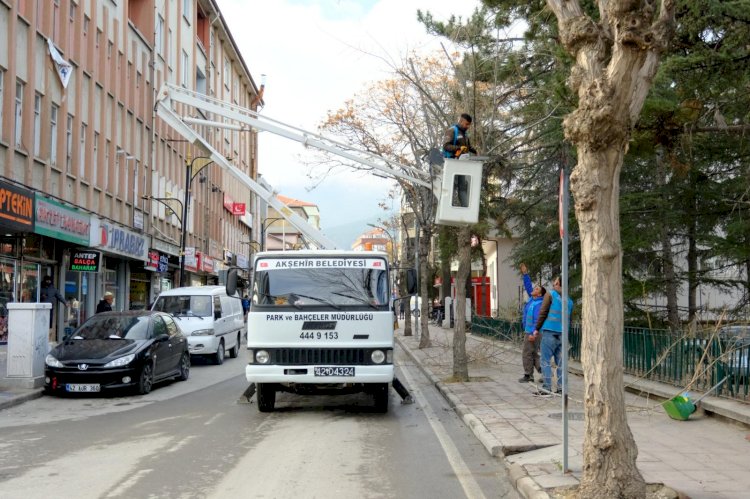 Akşehir’de Ağaçlara Bakım Hareketi: Mevsimsel Budama Seferberliği Başladı