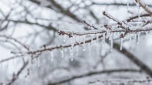 Meteorolojiden Soğuk Hava Uyarısı: Don ve Buzlanmaya Karşı Tedbirli Olun